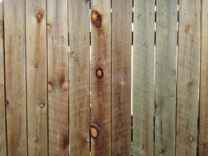 Wood Fence Boards Texture - Free High Resolution Photo