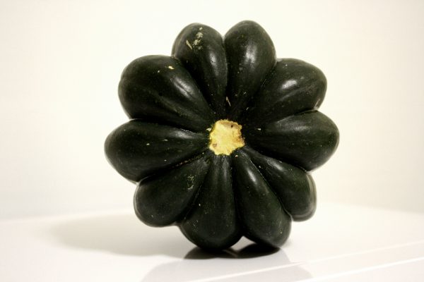 Acorn Squash Top - Free High Resolution Photo