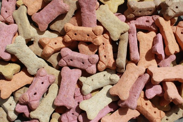 Dog Biscuits Texture - Free High Resolution Photo