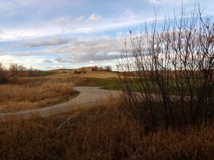 Dry Fall Grass with Path through Rolling Hills - Free High Resolution Photo