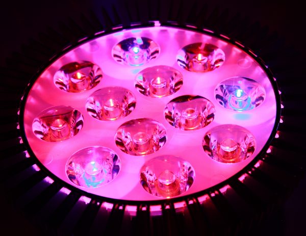 Pink and Blue LED Grow Light - Free High Resolution Photo