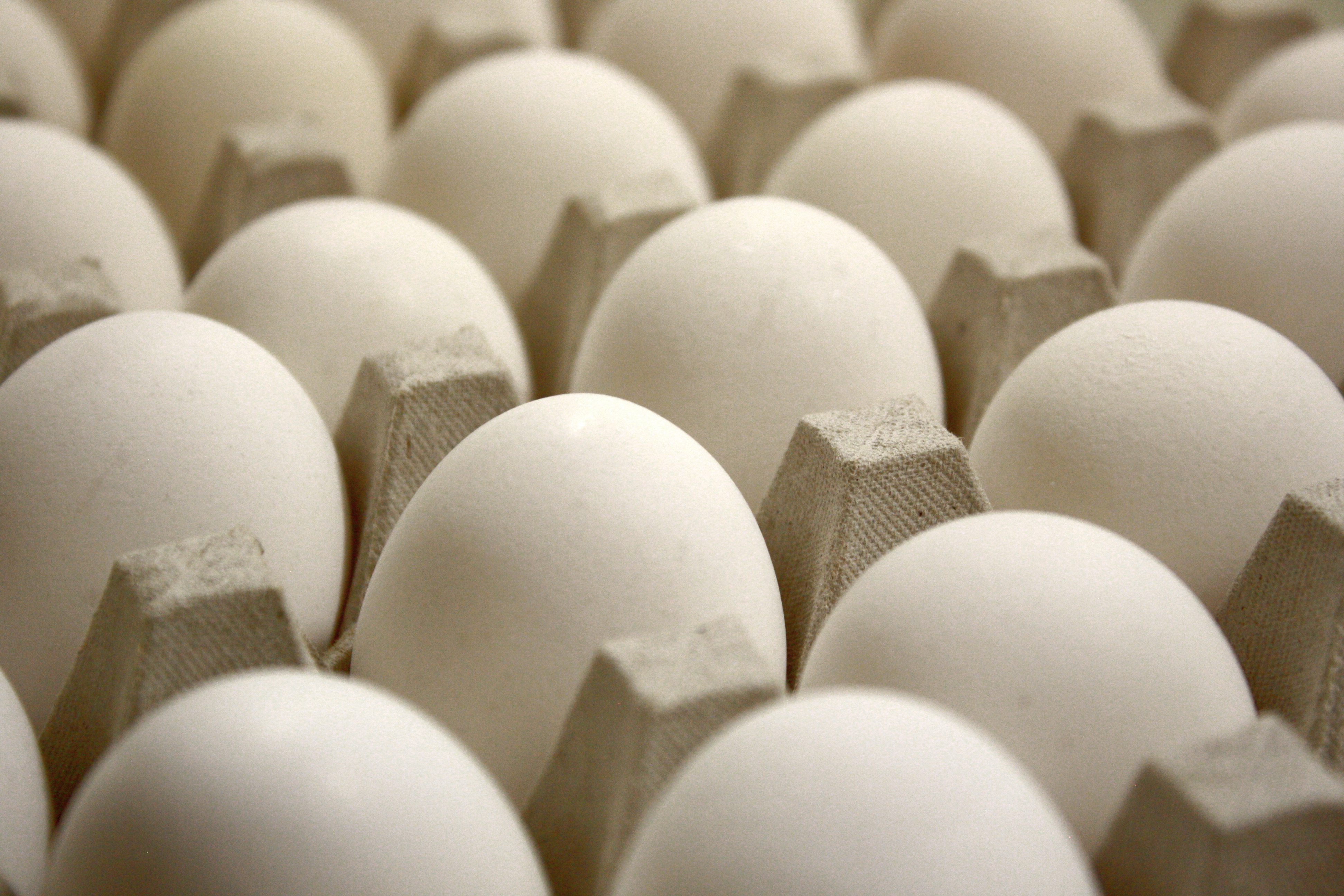 29,600+ Egg Tray Stock Photos, Pictures & Royalty-Free Images