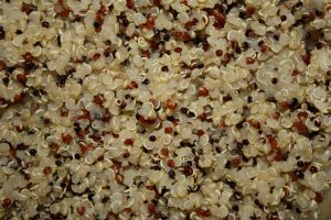 Cooked Tri-Color Quinoa Closeup Texture - Free High Resolution Photo