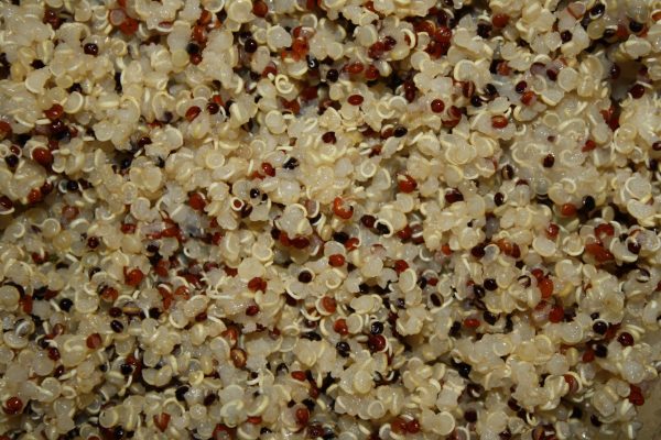 Cooked Tri-Color Quinoa Closeup Texture - Free High Resolution Photo 