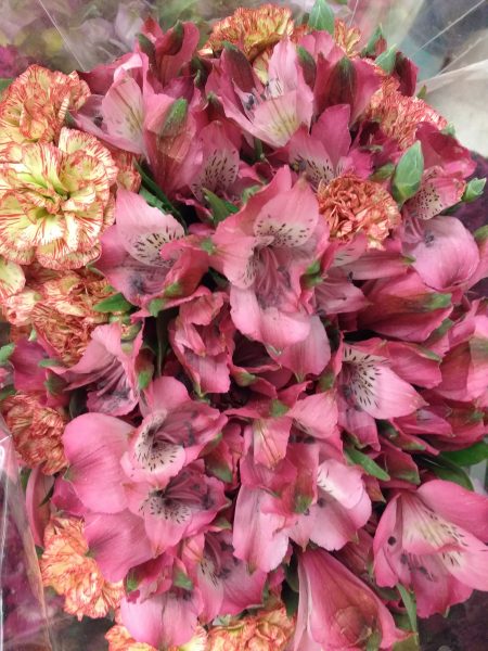 Pink Alstroemeria and Carnations Bouquet Closeup - Free High Resolution Photo