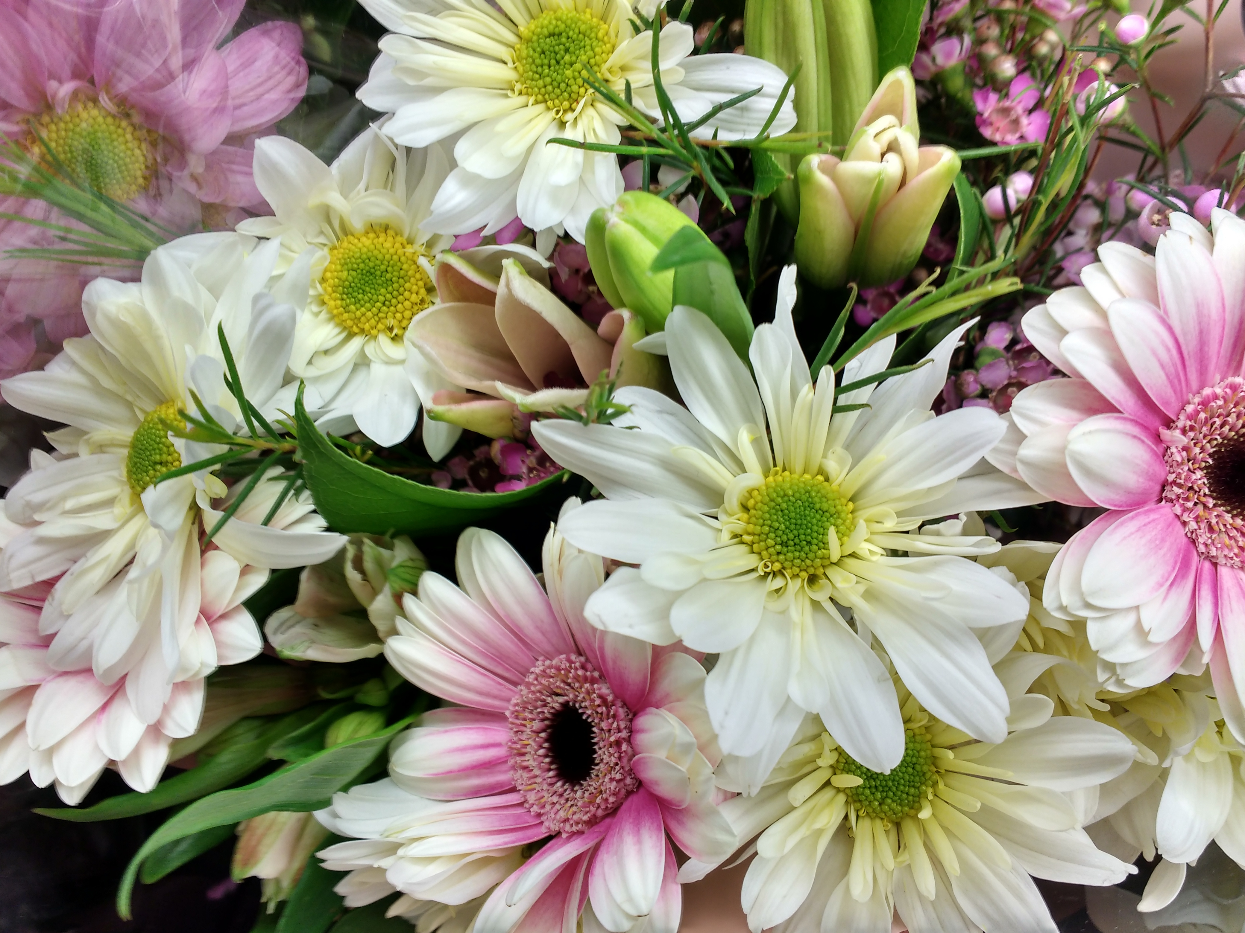 A picture of a bunch of flowers on a paper. Flower floral bouquet,  backgrounds textures. - PICRYL - Public Domain Media Search Engine Public  Domain Search