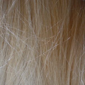 Blonde Hair Texture - Free High Resolution Photo