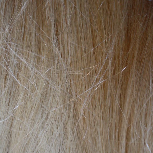 Blonde Hair Texture - Free High Resolution Photo