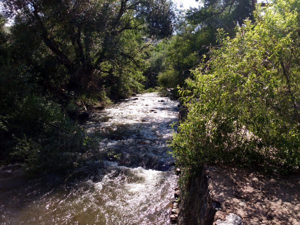 Flowing Stream - Free High Resolution Photo