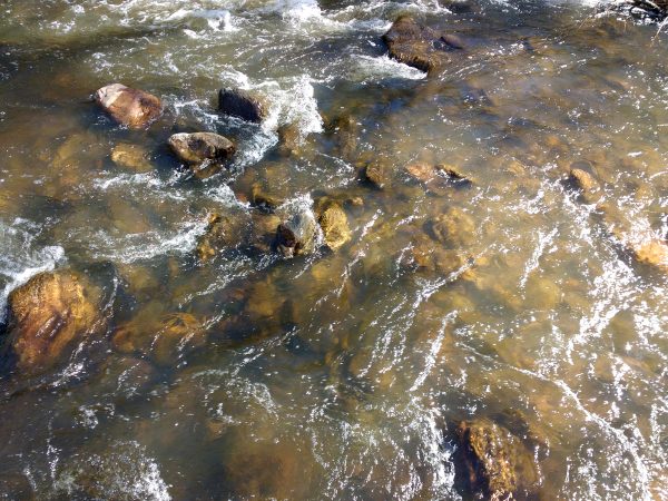 Stream Water with Rocks - Free High Resolution Photo