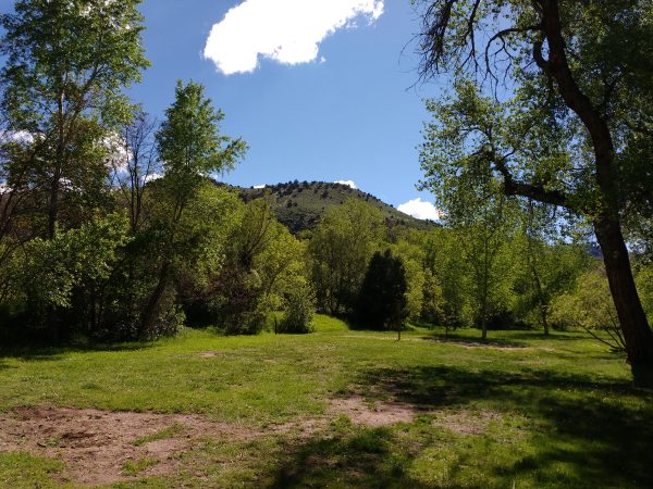 Grass and Trees with Hill in Background - Free High Resolution Photo 