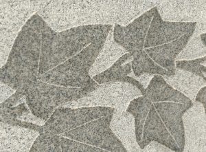 Textured Leaves Carved in Granite - Free High Resolution Photo