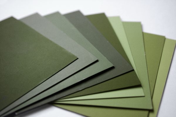 Color Samples - Olive Green - Free High Resolution Photo