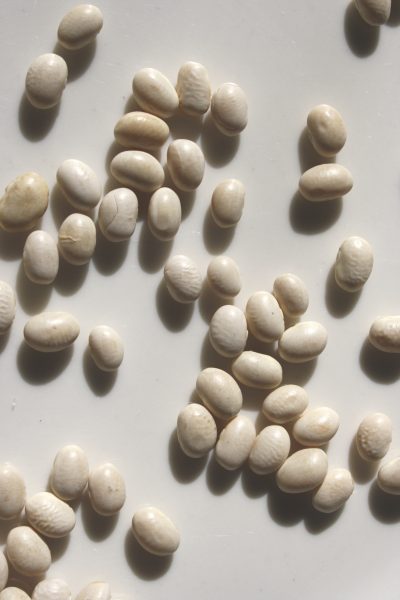 Dry Navy Beans - Free High Resolution Photo