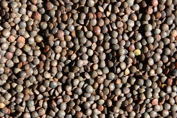 French Green de Puy Lentils Texture - Free High Resolution Photo 