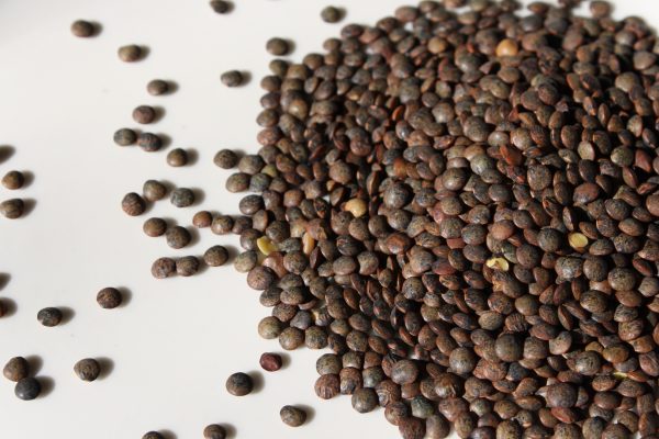 French Green Lentils - Dry - Free High Resolution Photo