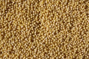 Millet Grain Texture - Free High Resolution Photo