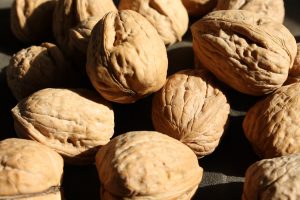 Walnuts in the Shell - Free High Resolution Photo