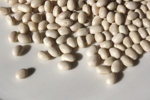 White Navy Beans - Free High Resolution Photo