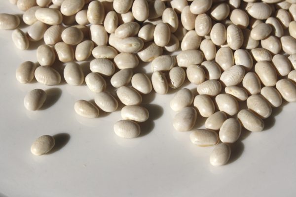 White Navy Beans - Free High Resolution Photo 