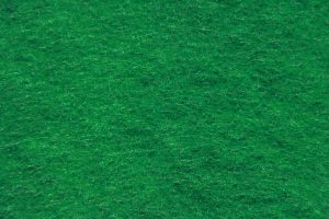 Green Scouring Pad Close Up Texture - Free High Resolution Photo