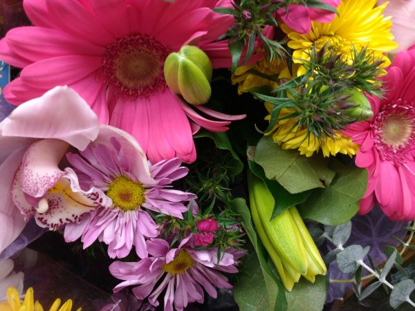 Colorful Flower Bouquet Close Up - Free High Resolution Photo 