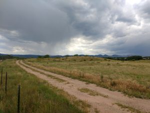 Dirt Road through Field - Free High Resolution Photo