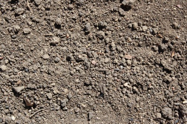 Dirt Texture - Free High Resolution Photo