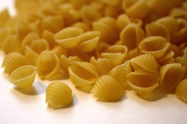 Mini Shells Pasta - Free High Resolution Photo