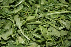 Arugula - Free High Resolution Photo