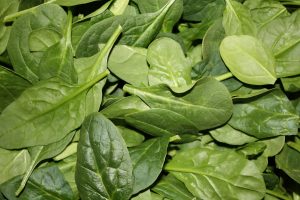 Baby Spinach Leaves - Free High Resolution Photo