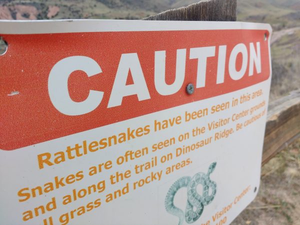 Caution Rattlesnakes Sign - Free High Resolution Photo
