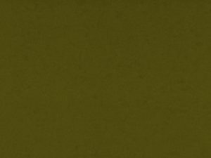 Olive Green Card Stock Paper Texture - Free High Resolution Photo