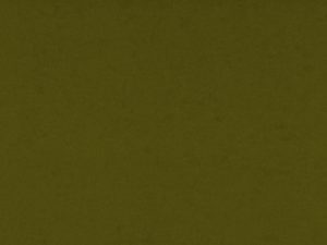 Olive Green Card Stock Paper Texture - Free High Resolution Photo