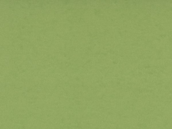 Pea Green Card Stock Paper Texture - Free High Resolution Photo 