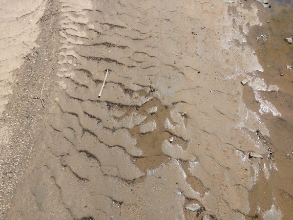 Ripples in the Mud - Free High Resolution Photo 