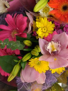 Bouquet of Colorful Flowers - Free High Resolution Photo