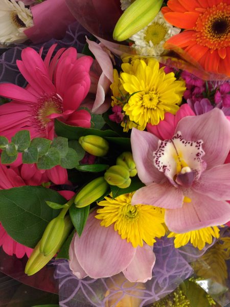 Bouquet of Colorful Flowers - Free High Resolution Photo 