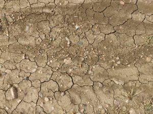 Dirt with Mud Cracks, Rocks, and Weeds Texture - Free High Resolution Photo