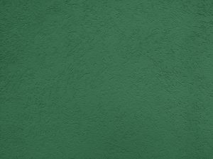 Green Textured Wall Close Up - Free High Resolution Photo