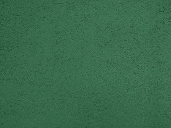 Green Textured Wall Close Up - Free High Resolution Photo