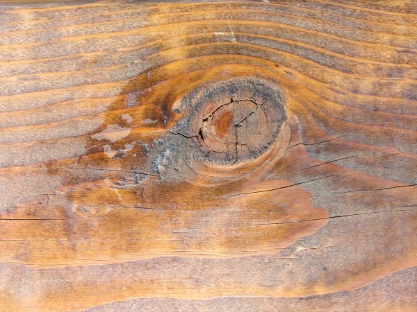 Knot in Wood Grain Texture - Free High Resolution Photo