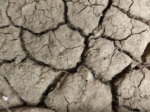 Mud Cracks Texture - Free High Resolution Photo