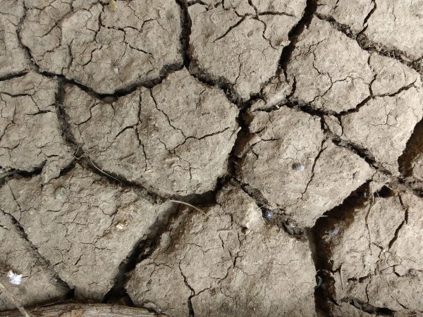 Mud Cracks Texture - Free High Resolution Photo 