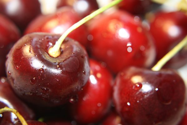 Red Cherries Close Up - Free High Resolution Photo
