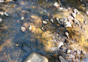 Running Stream Water with Rocks - Free High Resolution Photo
