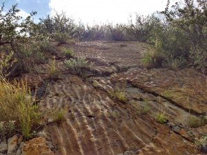 Sandstone with Ripple Marks - Free High Resolution Photo