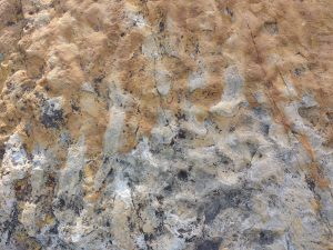 Sandstone with Ripple Marks Texture - Free High Resolution Photo