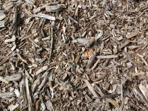 Wood Chips Texture - Free High Resolution Photo