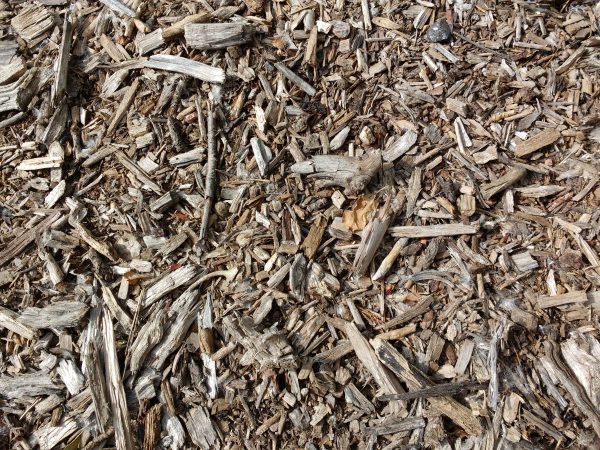 Wood Chips Texture - Free High Resolution Photo 